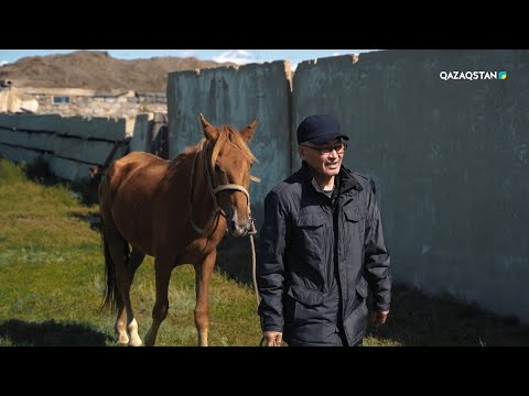 Видео: Фермер Ермұрат Жанатұлы І «Тіршілік» бағдарламасы