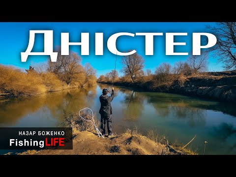 Видео: Річка Дністер - Дві Тактики Риболовлі На Річці