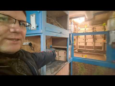 Видео: 8 февраля 2025 г.