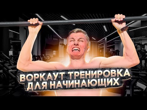 Видео: Программа тренировок для начинающих | Простые упражнения для начинающих дома