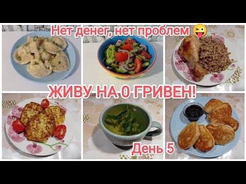 Видео: ЖИВУ НА 0 ГРИВЕН!!! День 5 
