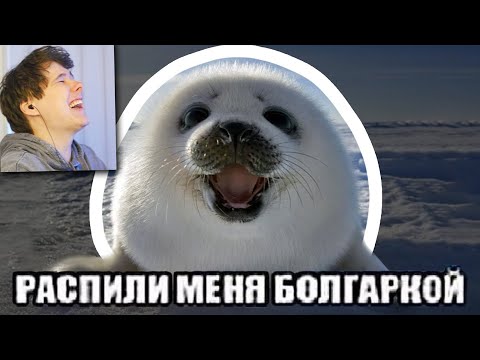 Видео: ПОЖАЛУЙСТА, РАСПИЛИ МЕНЯ БОЛГАРКОЙ ВИКТОР КОРНЕПЛОД — ОТКУДА МЕМ? - Реакция на Небуди