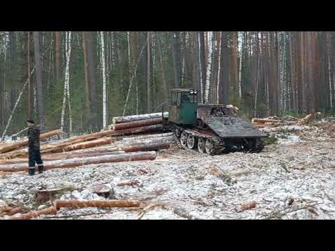 Видео: работа в лесу, лесозаготовка  ,,282,,