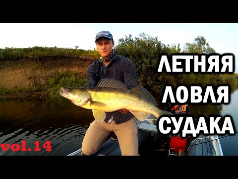 Видео: Летний судак на Оке. Джиг в жару.