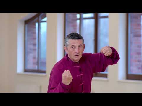 Видео: 83 формы тайцзи цюань семьи Чэнь