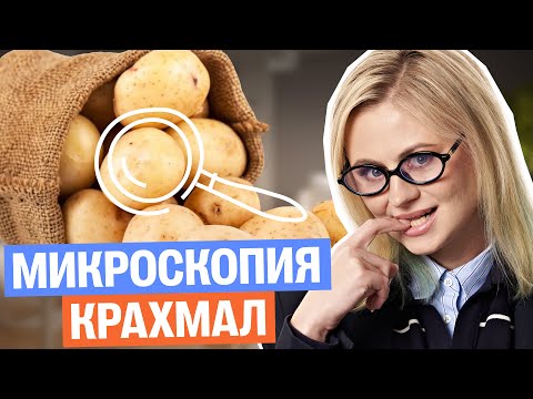 Видео: Крахмал под микроскопом | Ксения Напольская