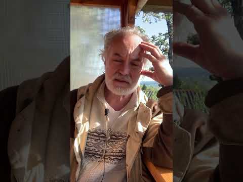 Видео: Влияние пищи и пищеварения на душевное здоровье (пси расстройства)