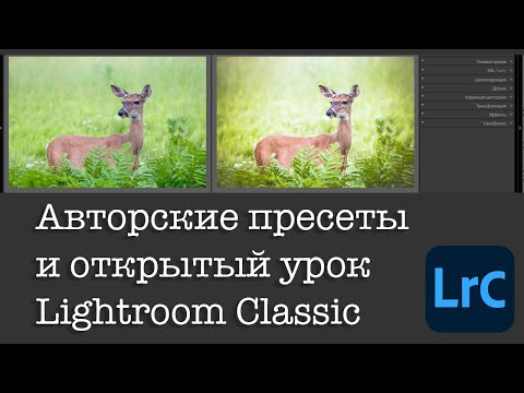 Видео: 10 пресетов для Lightroom Classic скачать бесплатно, открытый урок и новости