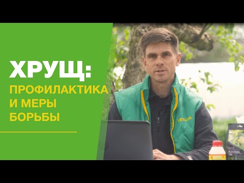 Видео: Хрущ: профилактика и меры борьбы FullHD