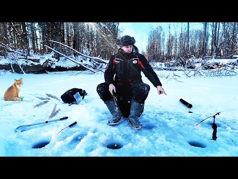Видео: Зимняя рыбалка в тайге. Настоящая русская рыбалка на ленка и хариуса. Посвящение в рыбаки.