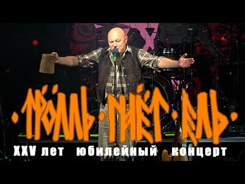 Видео: Тролль Гнет Ель, 25-летие в Петербурге! 12 октября 2024, Космонавт, 4K Hi-Fi Multi-camera