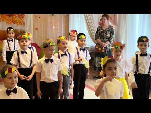 Видео: 29 октября 2025 г.