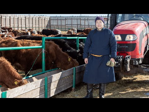 Видео: Танайд хоноё - Инженер Б.Мөнхбаатар