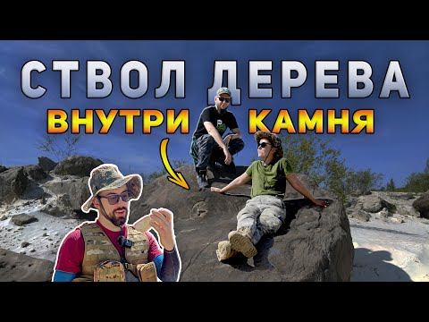 Видео: Целые ДЕРЕВЬЯ в камне и Волжские АГАТЫ! Раскрываем ЗАГАДКИ Чапаевских карьеров (feat. Палео Чувак)