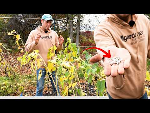 Видео: Мы посадили СОТНИ самых дорогих специй в мире