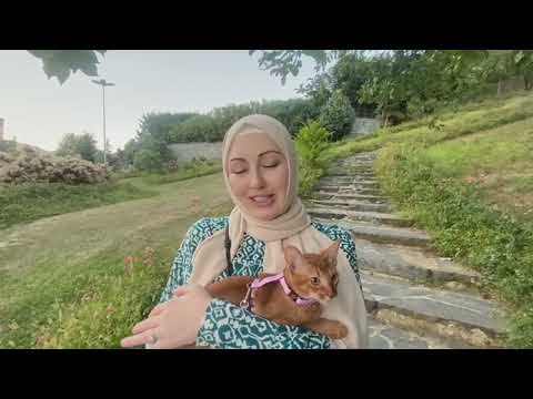 Видео: Амина Коган. Видео знакомство. Ответы на самые частозадаваемые вопросы.