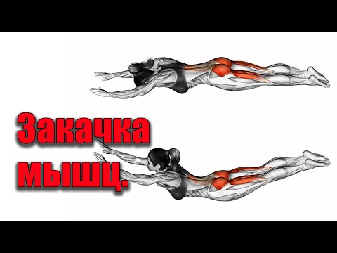 Видео: Мышечный корсет держит спину.Мифы и реальность.