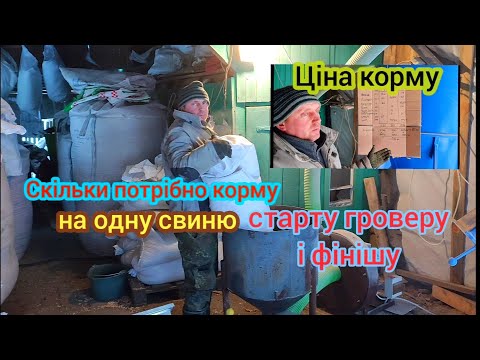 Видео: корм для поросят від старту до  фінішу