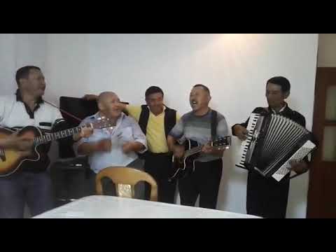 Видео: звёзды курпульдека.
