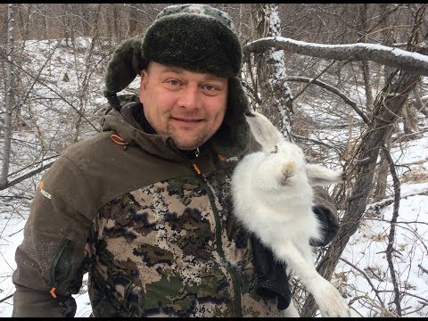 Видео: Охота на зайца петлями. Сезон 2. Серия 1.