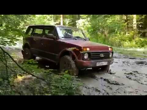 Видео: Восемь Нив в поисках пионерлагеря