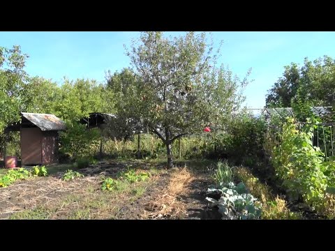 Видео: Епизод 5