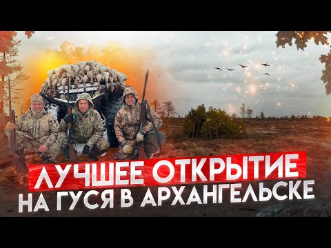 Видео: Лучшая охота на гуся 2024