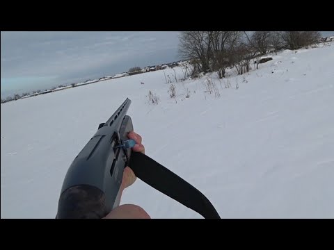 Видео: Охота в Ленинградской области сезон 2024-2025.  Закрытие по зайцу и лисе.