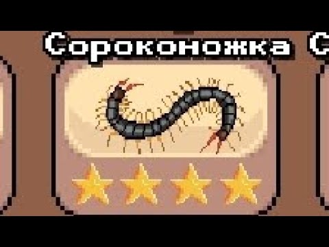 Видео: Pocket Ants - злим сороконожку : )