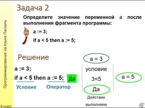 Видео: Ветвление Решение задач