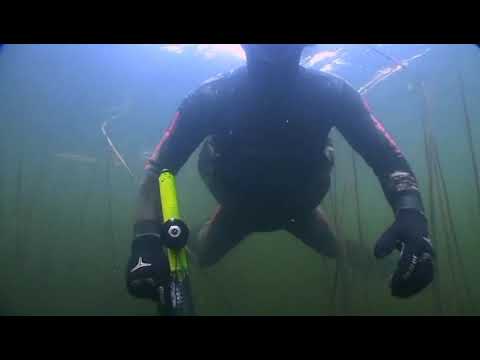 Видео: Мир подводной охоты  Браславские озера