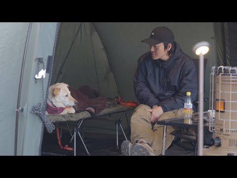Видео: Снег на земле, весна в воздухе 🌸 Кемпинг для собак Bliss 🏕️