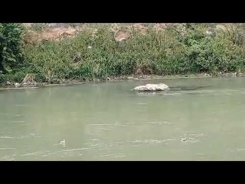 Видео: 12 сентября 2025 г.