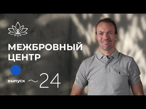 Видео: Межбровный центр – ключ к ясности мышления. Выпуск 24. Школа Долгой Жизни Михаила Советова.