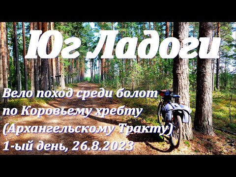 Видео: 1-ый день: Юг Ладоги - велопоход среди болот по Коровьему хребту (Архангельскому Тракту). 26.8.2023