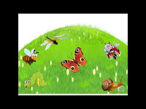 Видео: Занятие по математике для детей старшей группы "Эти удивительные насекомые"