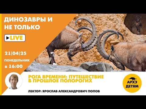 Видео: Занятие "Рога времени: путешествие в прошлое полорогих" Динозавры и не только с Ярославом Поповым