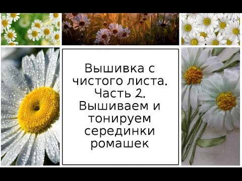 Видео: МК. Вышивка с чистого листа. Часть 2. Вышиваем и тонируем серединки ромашек. Разживалова Наталья
