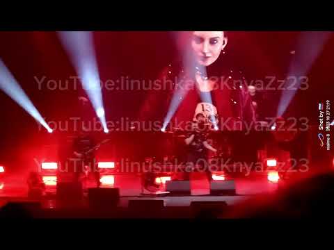 Видео: Андрей Князев(КняZz) 27.10.2023