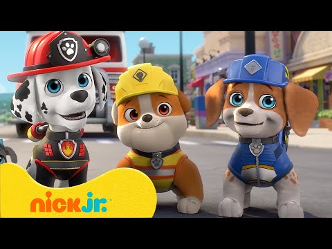 Видео: Крепыш и команда | Щенячий патруль знакомится с Командой! | Nick Jr. Cyrillic