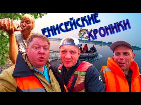 Видео: Она это сделала или Енисейские хроники \ Сиг на муху \ Рыбалка на Енисее
