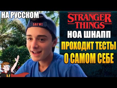 Видео: НОА ШНАПП (2020) ► ПРОХОДИТ ТЕСТЫ О САМОМ СЕБЕ (НА РУССКОМ)