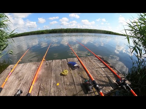 Видео: НА ИНГУЛЕЦ с мостика за карпами