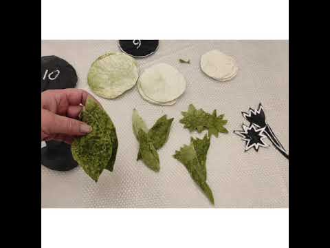Видео: 12.03.2021 Felting. #flowers Майстер клас по валянню брошки "ТРОЯНДИ"