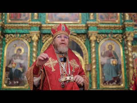 Видео: СВЯТИТЕЛЬ ЛУКА: ПРАВИЛО ВЕРЫ И ОБРАЗ КРОТОСТИ