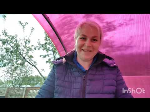 Видео: ДАЧА#23 ОБЗОР УДОБРЕНИЙ#МОИ ТЕПЛИЧКИ С ВЫСАЖЕННОЙ РАССАДОЙ