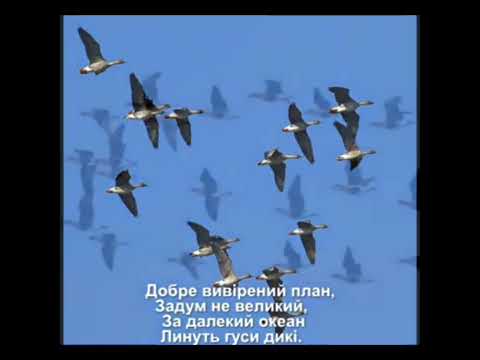 Видео: Заняття з музики.                                        Слухання пісні: «Осінь, фарбами заграй!»