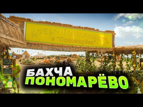 Видео: Бахча Пономарёвых