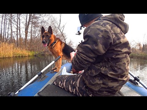 Видео: КАК ПЕС ЛАРРИ ЩУКУ ЛОВИЛ..