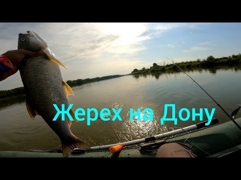 Видео: Жерех на Джиг, Стики, Воблеры. САЗАН НА ПАКО. РЫБ ИНСТРУКЦИЯ. #NEKFISH